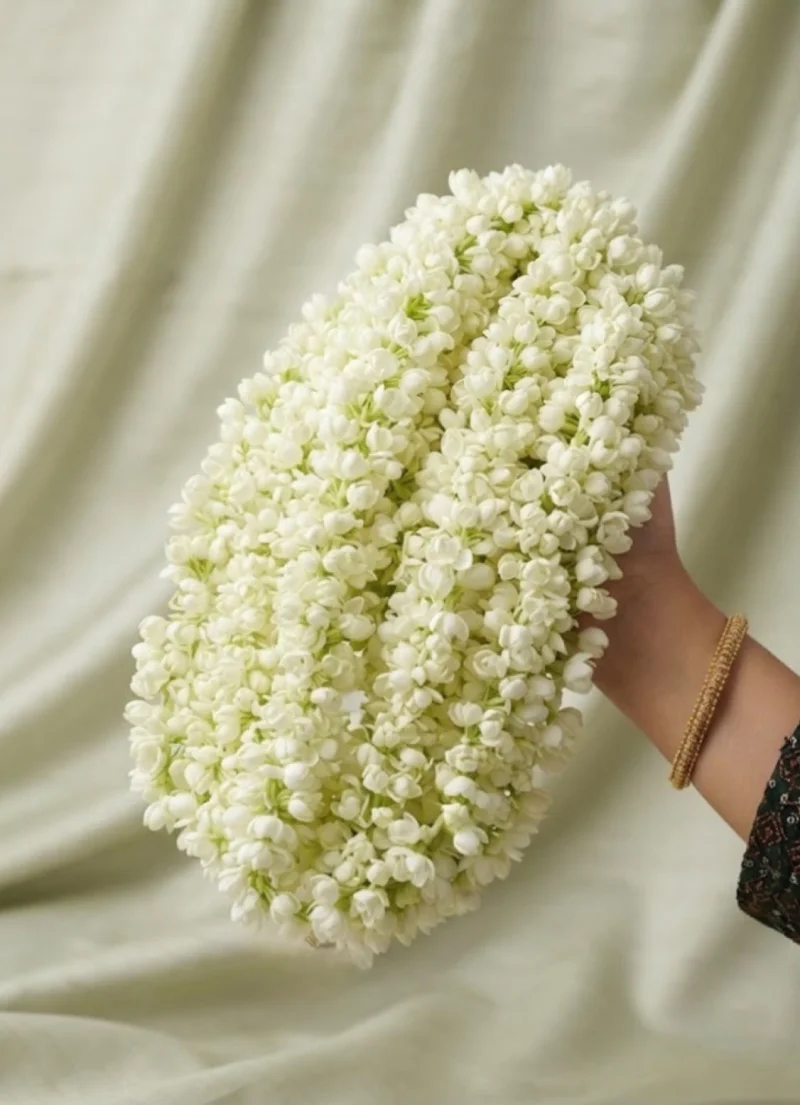 Mullapoovu (Jasmine Flower)